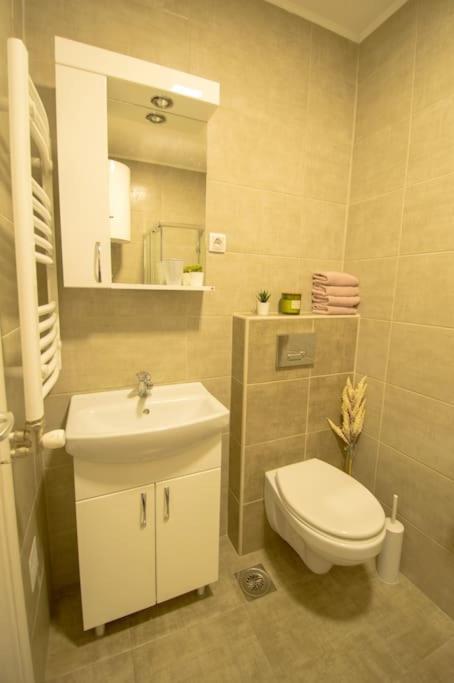 White Fields-central 2-bdrm With Parking Apartment Novi Sad